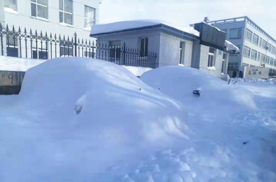 211109 - 暴雪后的彩名堂工厂门口_副本.jpg